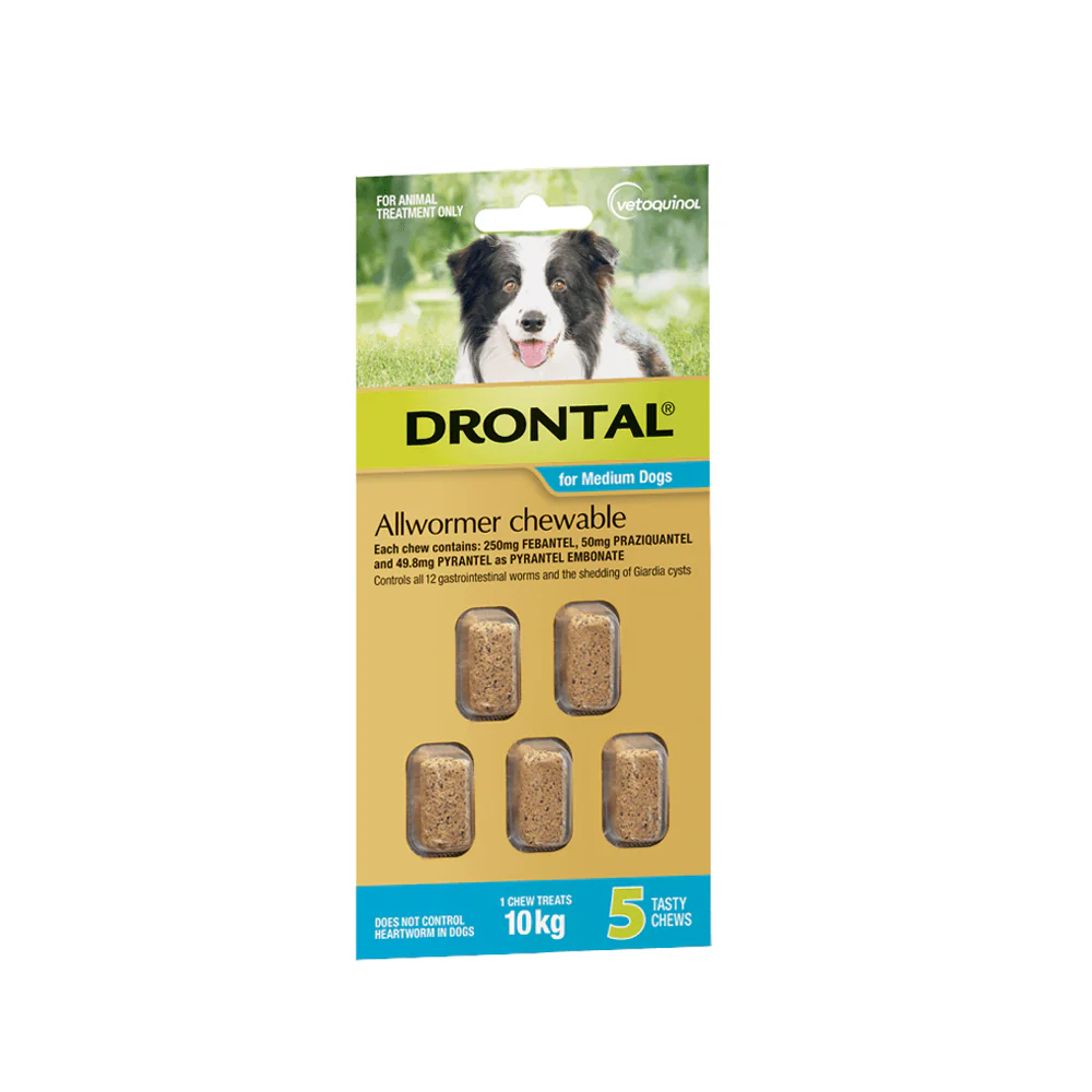 Drontal Allwormer Chewables 10kg Medium Dogs - Image 3