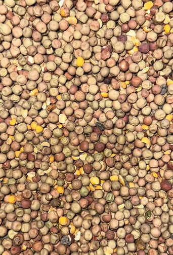 Dunfield Peas - Image 2