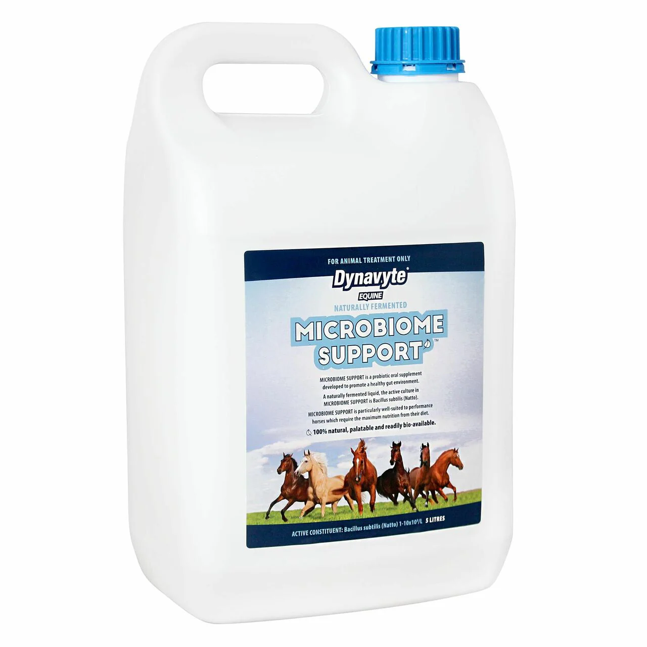 Dynavyte Microbiome Support for Horses - Image 2