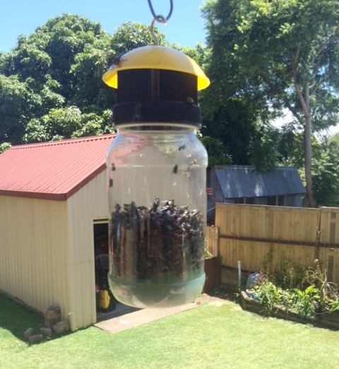 Envirosafe Fly Trap - Image 2