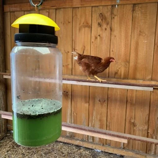 Envirosafe Jumbo Fly Trap - Image 2