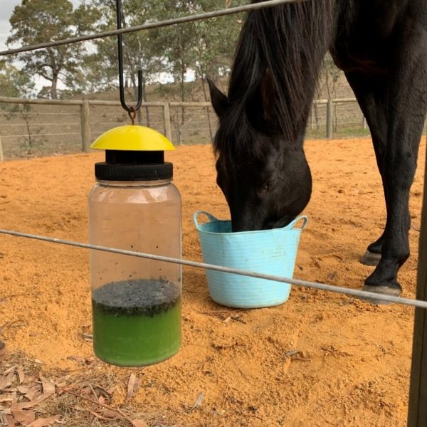 Envirosafe Jumbo Fly Trap - Image 3