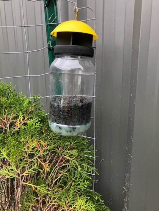 Envirosafe Jumbo Fly Trap - Image 4