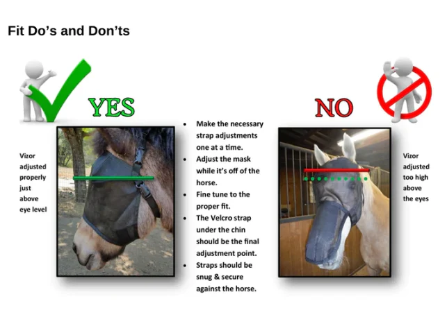 Equivizor Standard Fly Mask - Image 6