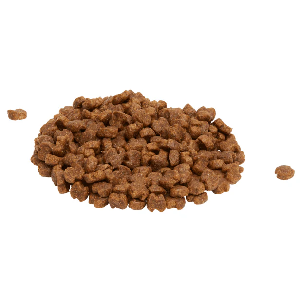 Eukanuba Adult Large Breed Dry Dog Food - Image 4