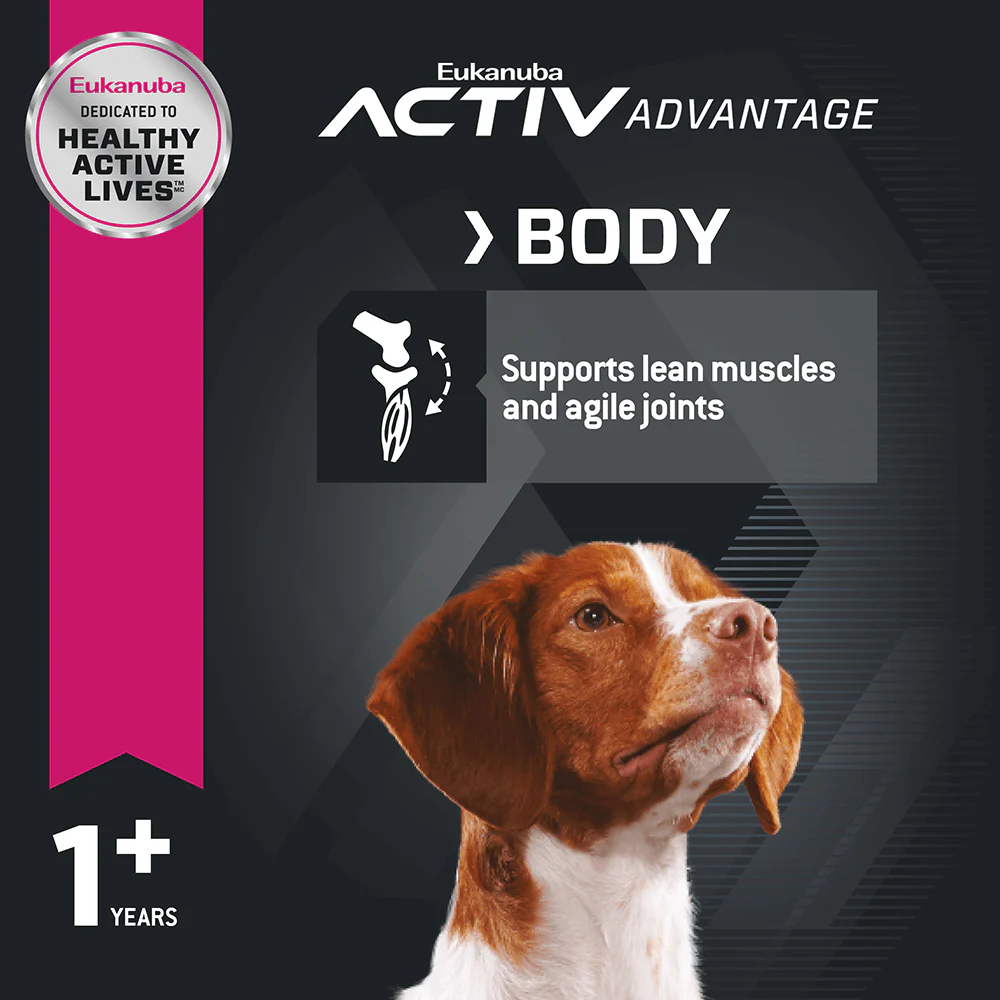 Eukanuba Adult Medium Breed Dry Dog Food - Image 3
