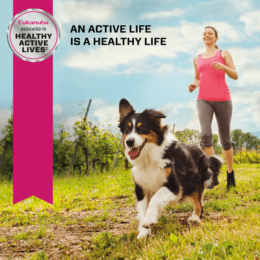Eukanuba Adult Medium Breed Dry Dog Food - Image 6