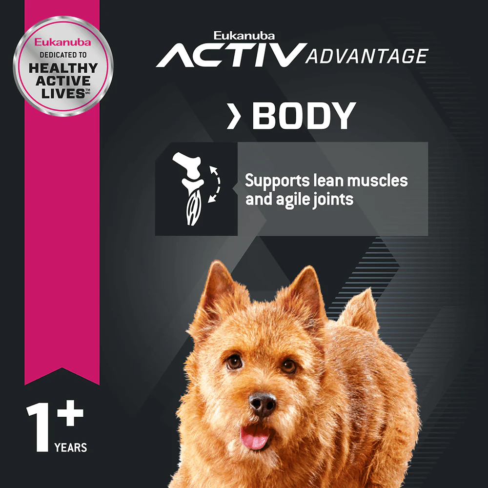 Eukanuba Adult Small Breed Dry Dog Food - Image 3