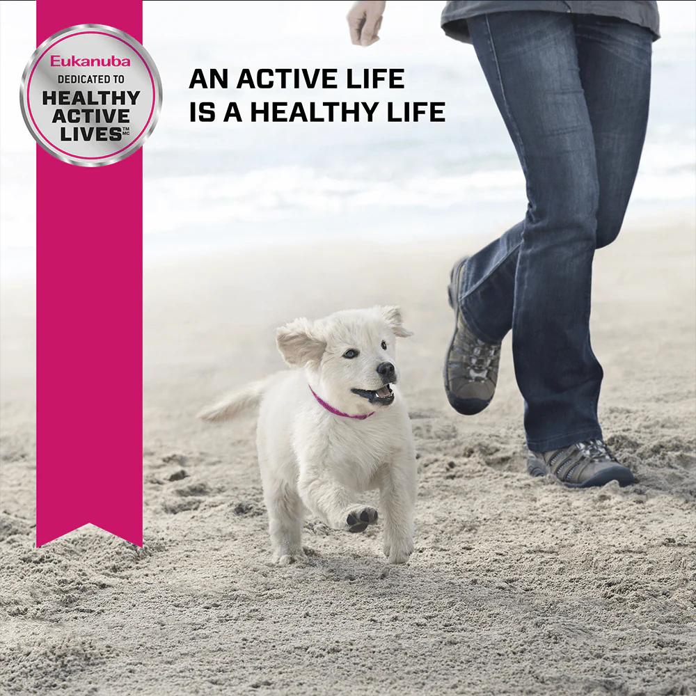 Eukanuba Puppy Large Breed Dry Dog Food - Image 5