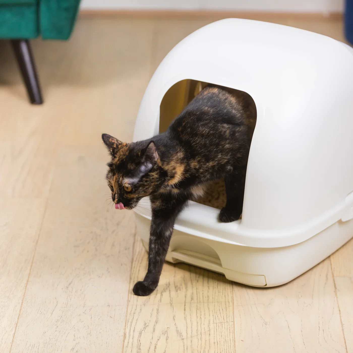 Ezi-LockOdour Dual Layer Hooded Cat Litter System - Image 2