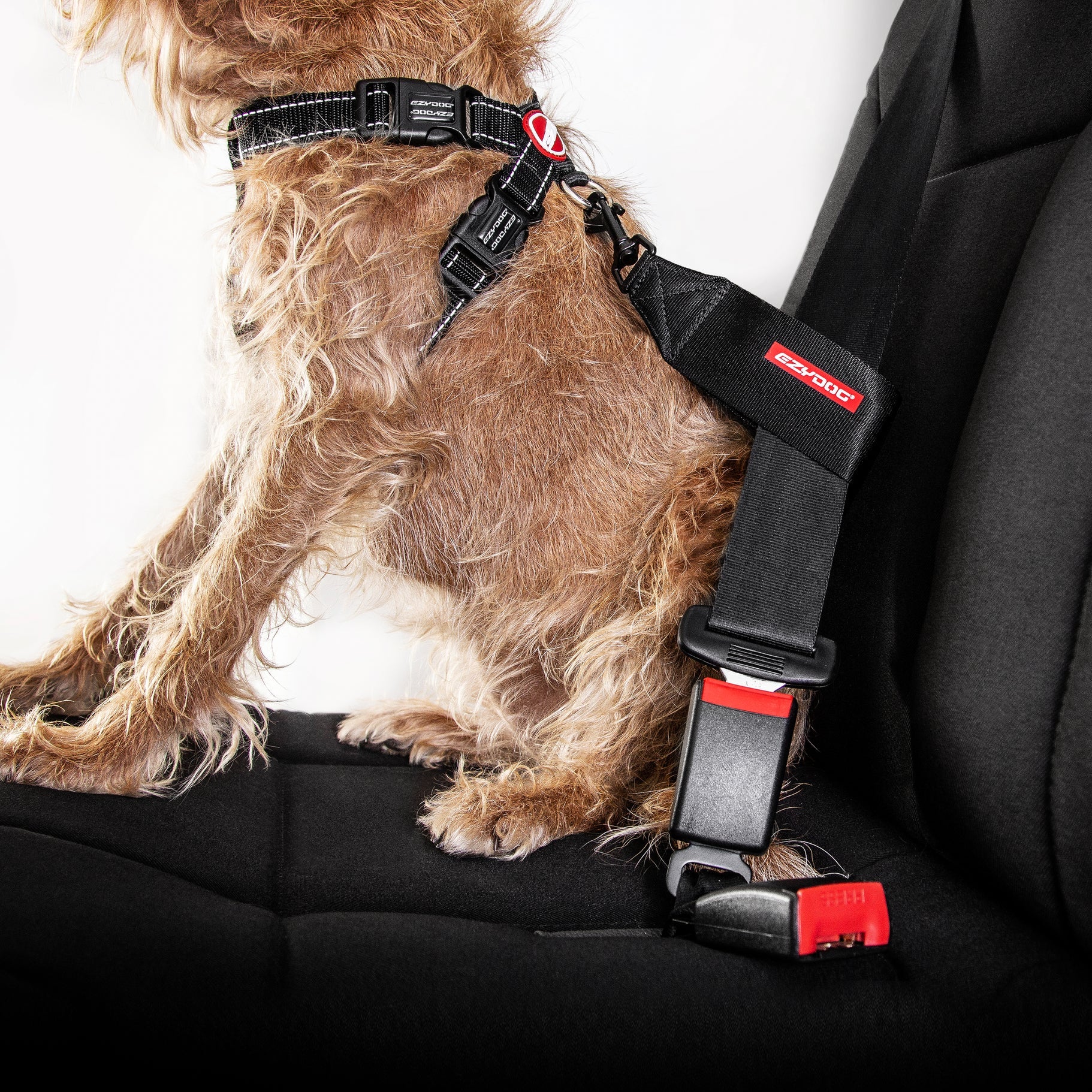 EzyDog Car Seat Attachment - Image 3