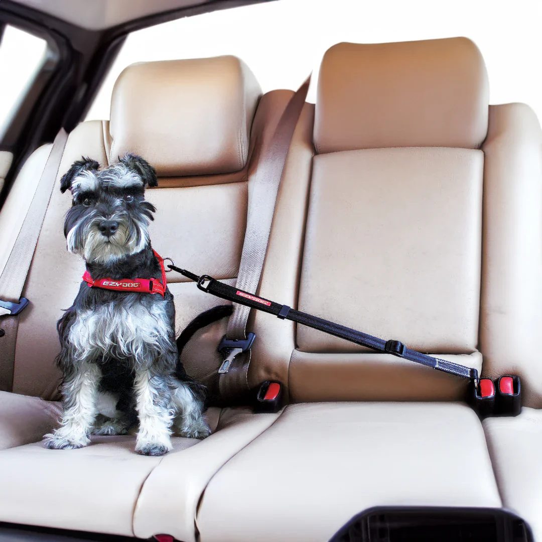 EzyDog Car Seatbelt Attachment - Image 3