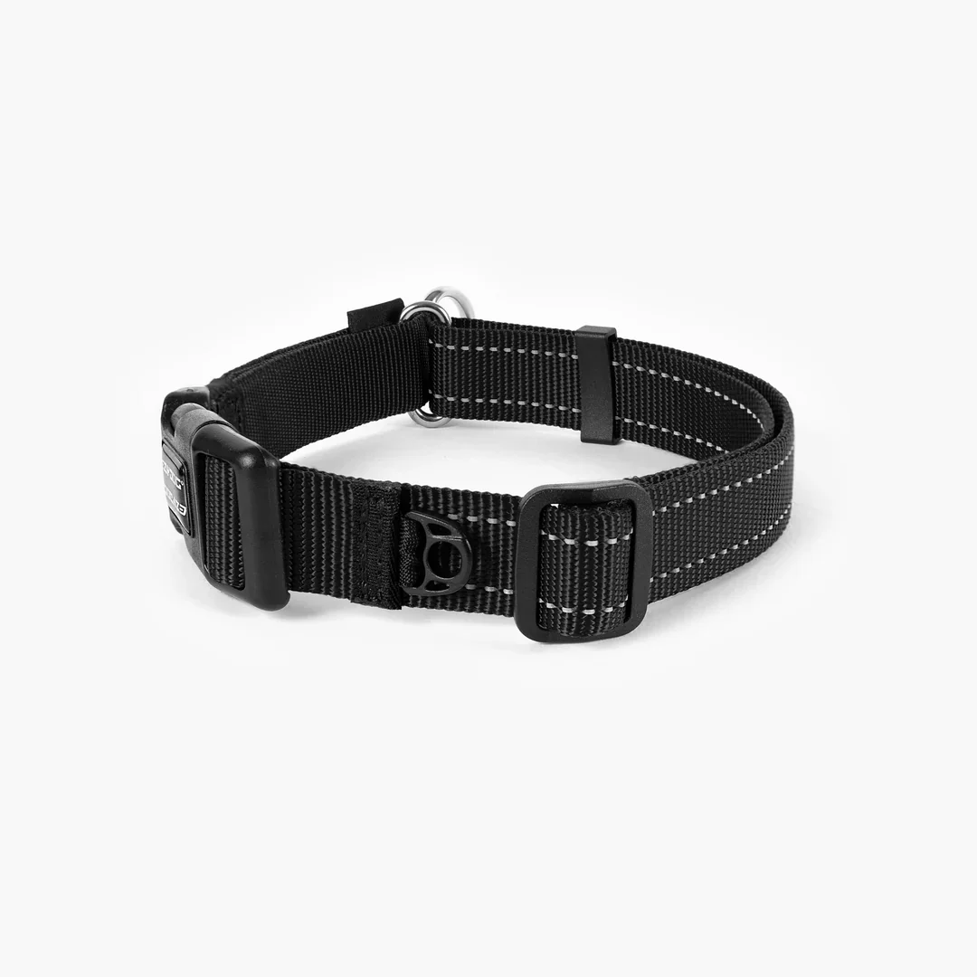 EzyDog Collar Checkmate - Image 3