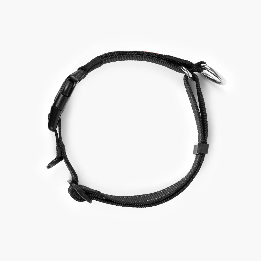 EzyDog Collar Checkmate - Image 4