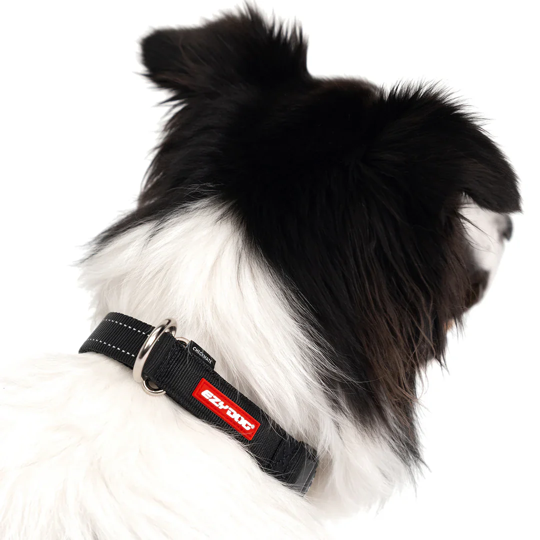 EzyDog Collar Checkmate - Image 5
