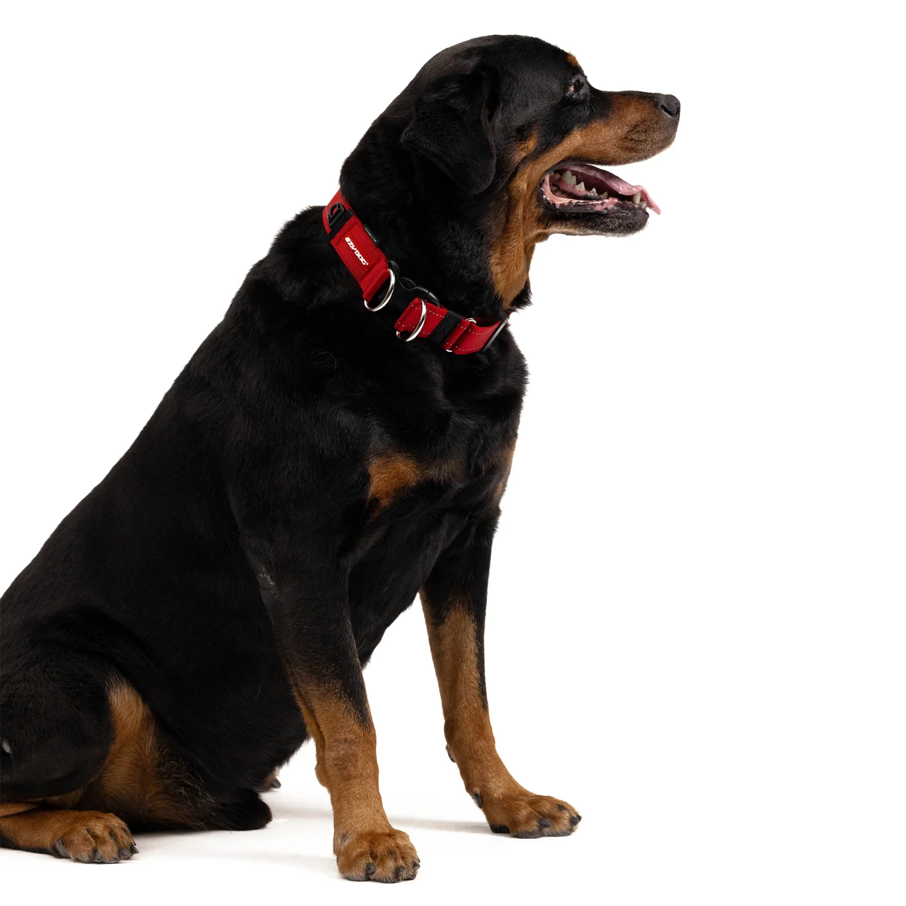 EzyDog Collar Double Up - Image 10