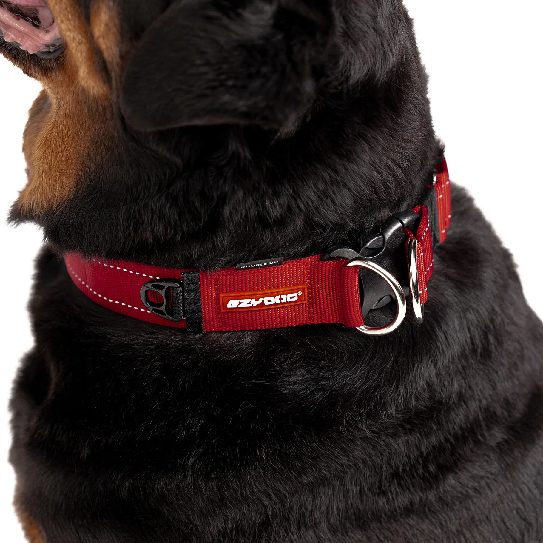 EzyDog Collar Double Up - Image 11