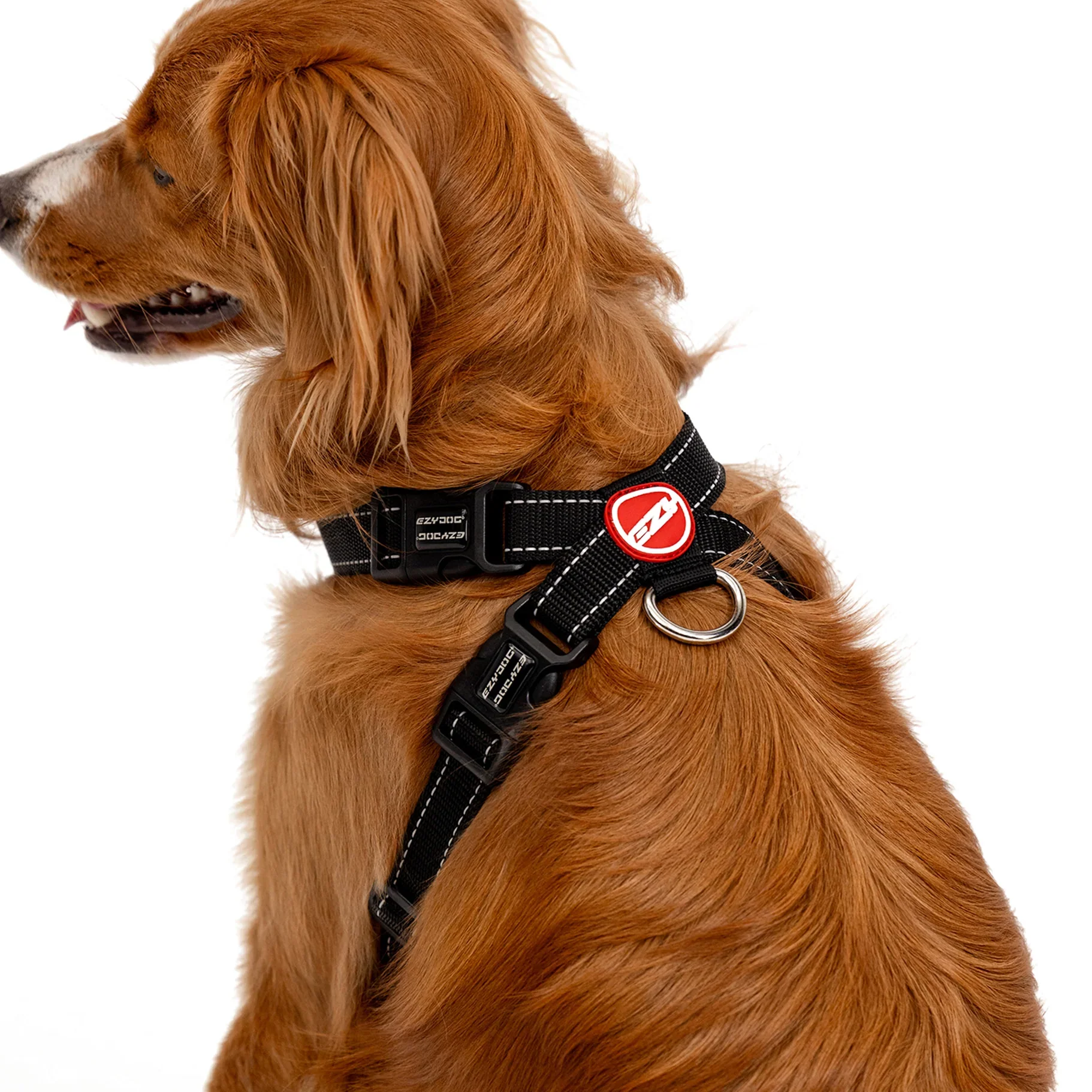 EzyDog Harness Chest Plate - Image 12