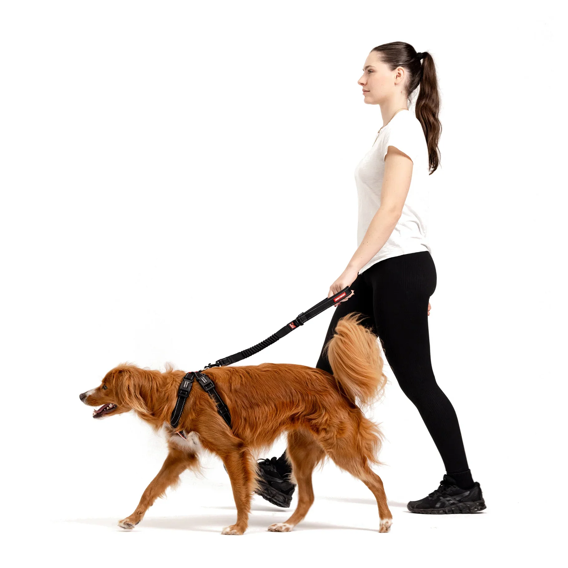 EzyDog Harness Chest Plate - Image 13