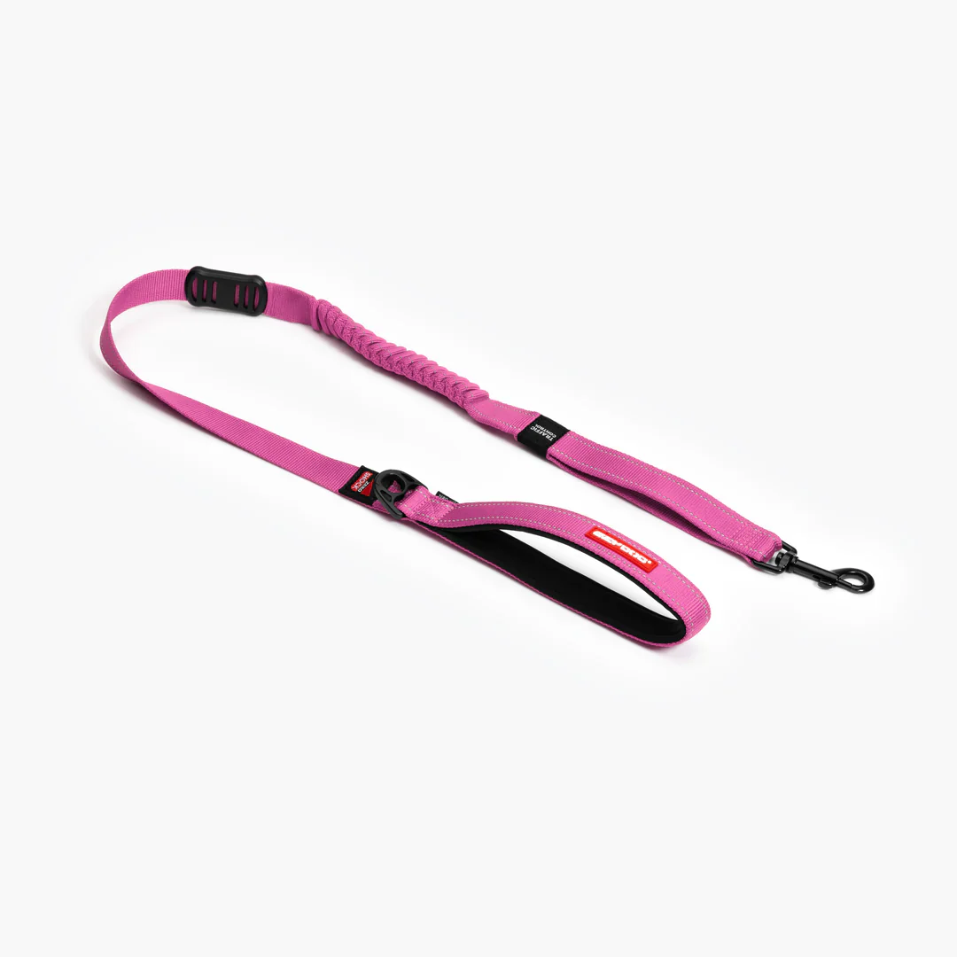EzyDog Zero Shock Leash - Image 4