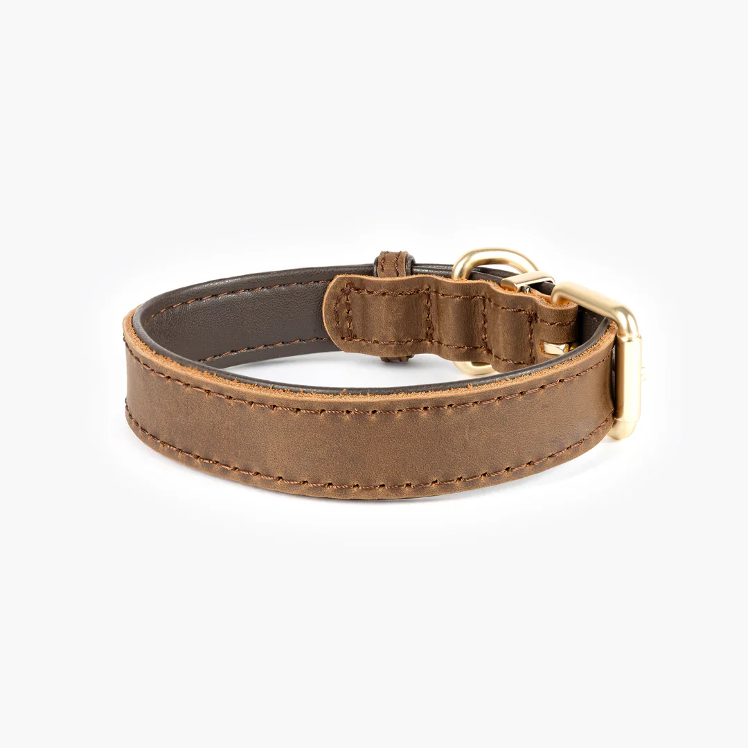 EzyDog Oxford Collar - Image 2