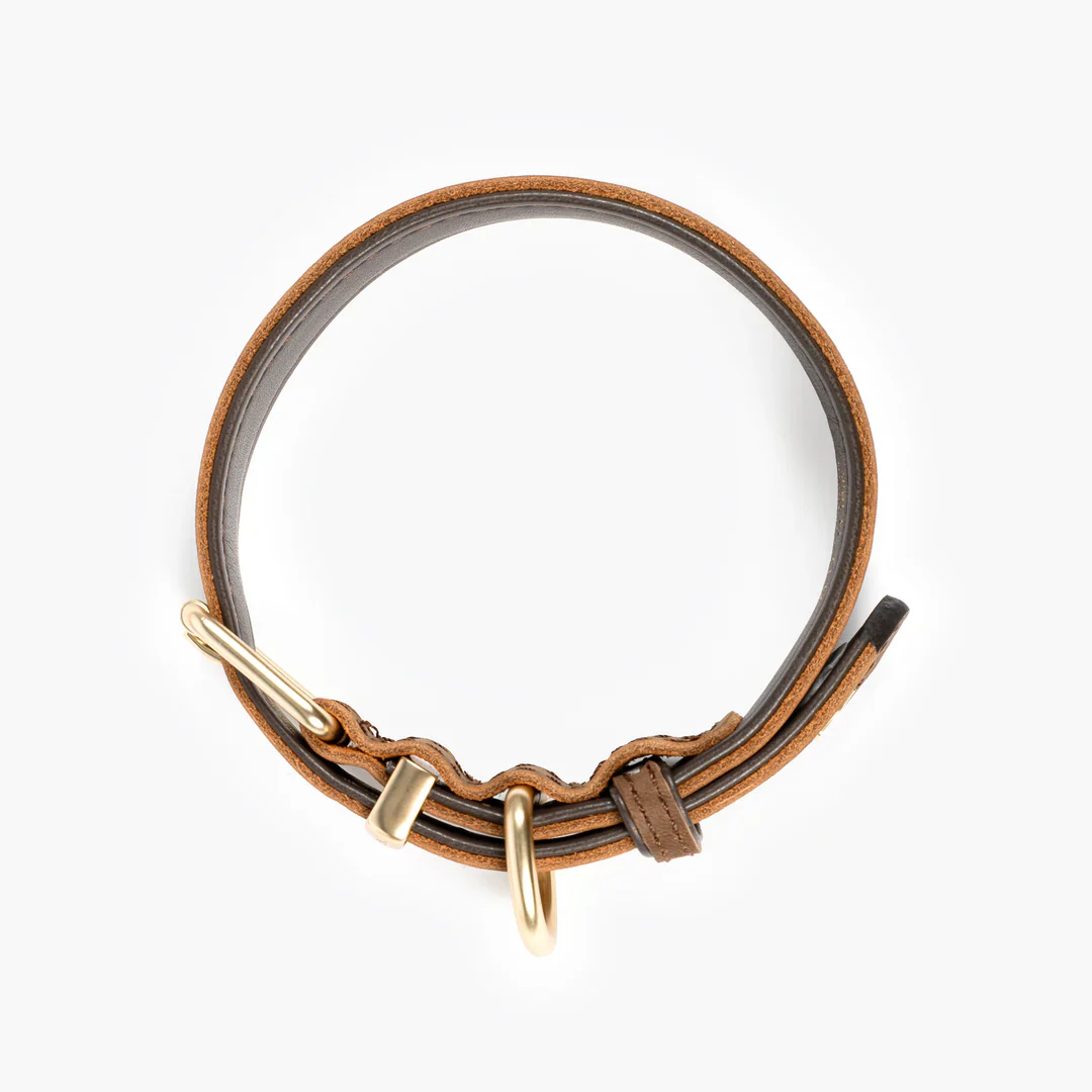 EzyDog Oxford Collar - Image 3