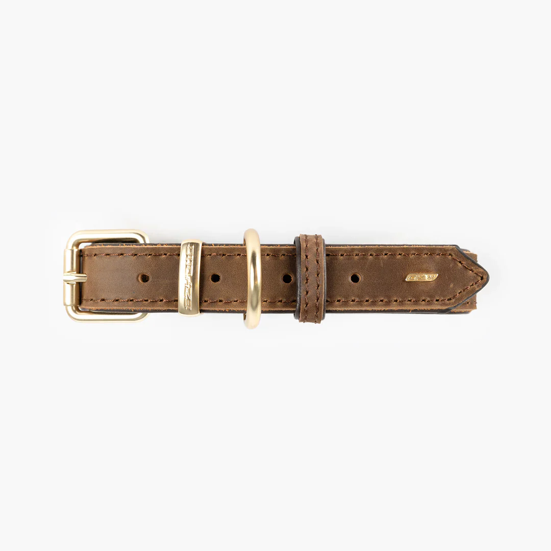 EzyDog Oxford Collar - Image 4