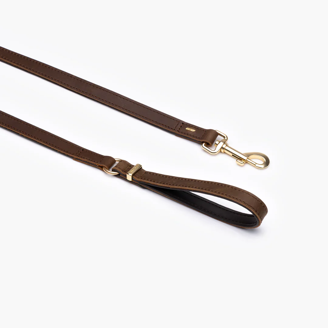 EzyDog Oxford Leash - Image 2
