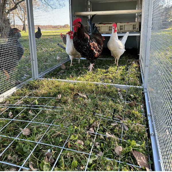 Farm and Yard Mobile Chicken Coop - 3 Panel - Image 3