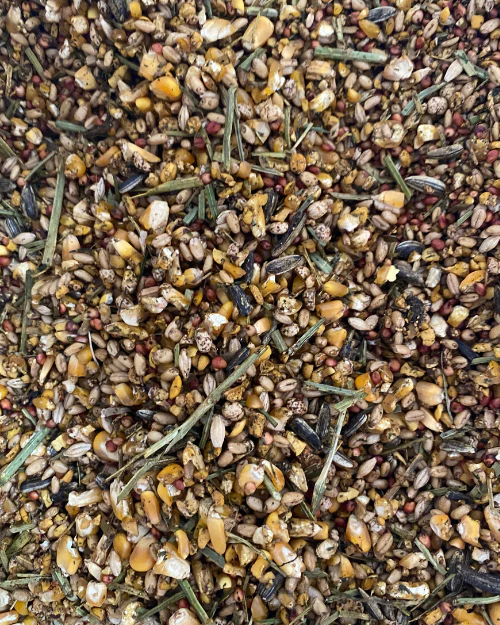 Farmbies Premium Layer Mash - Image 2