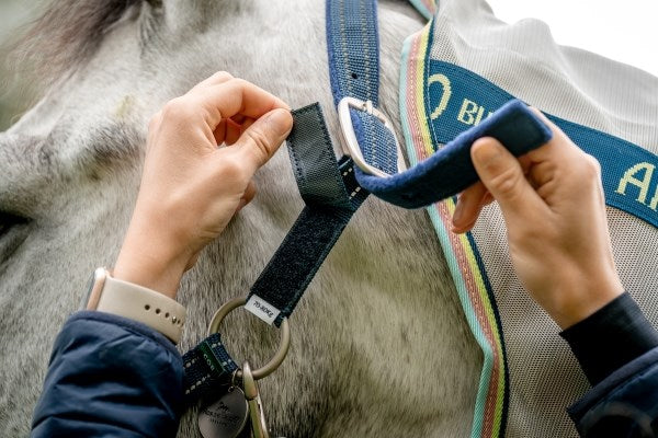 Field Safe Headcollar - Image 2
