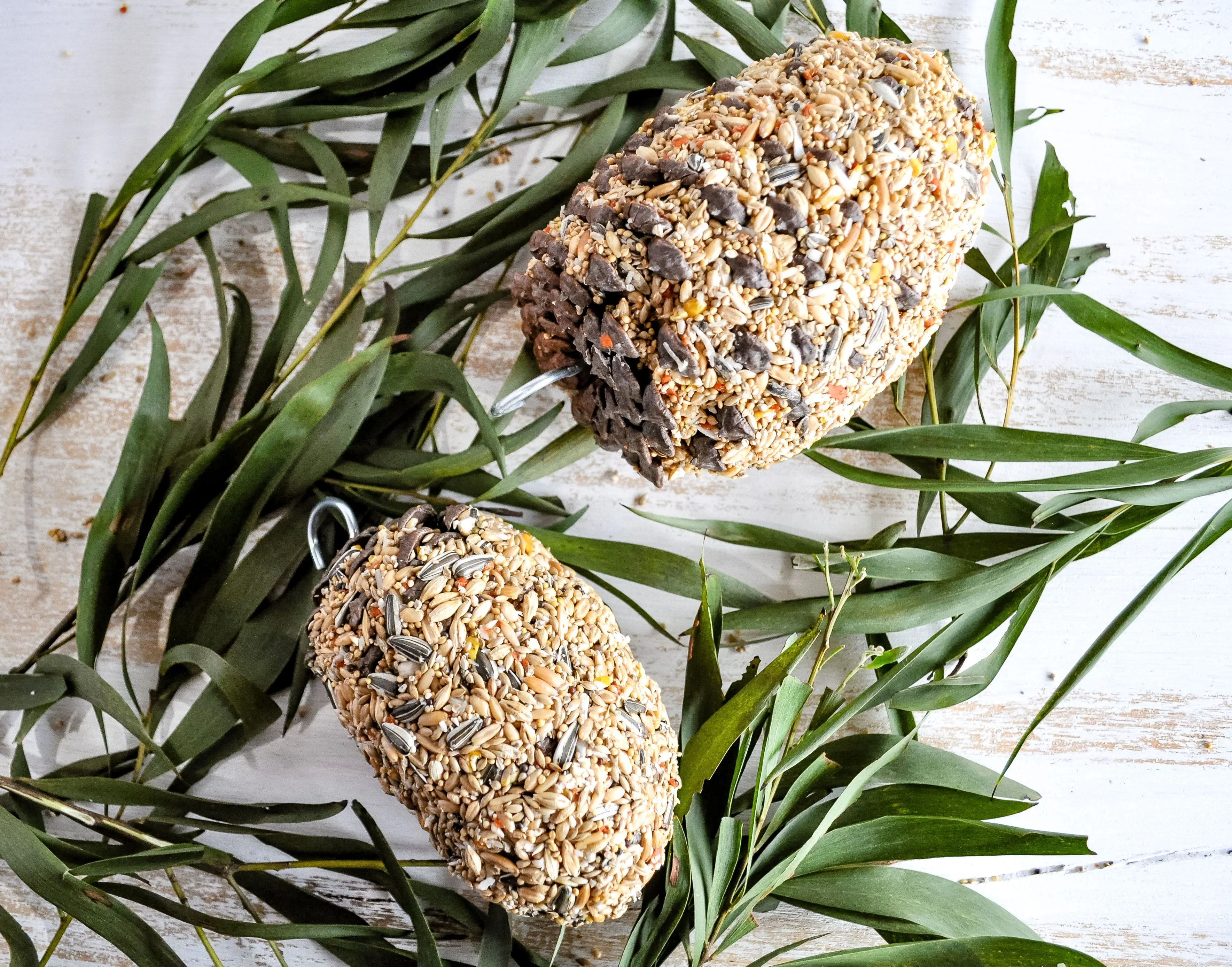 Forage Pinecone Bird Treat - Image 2