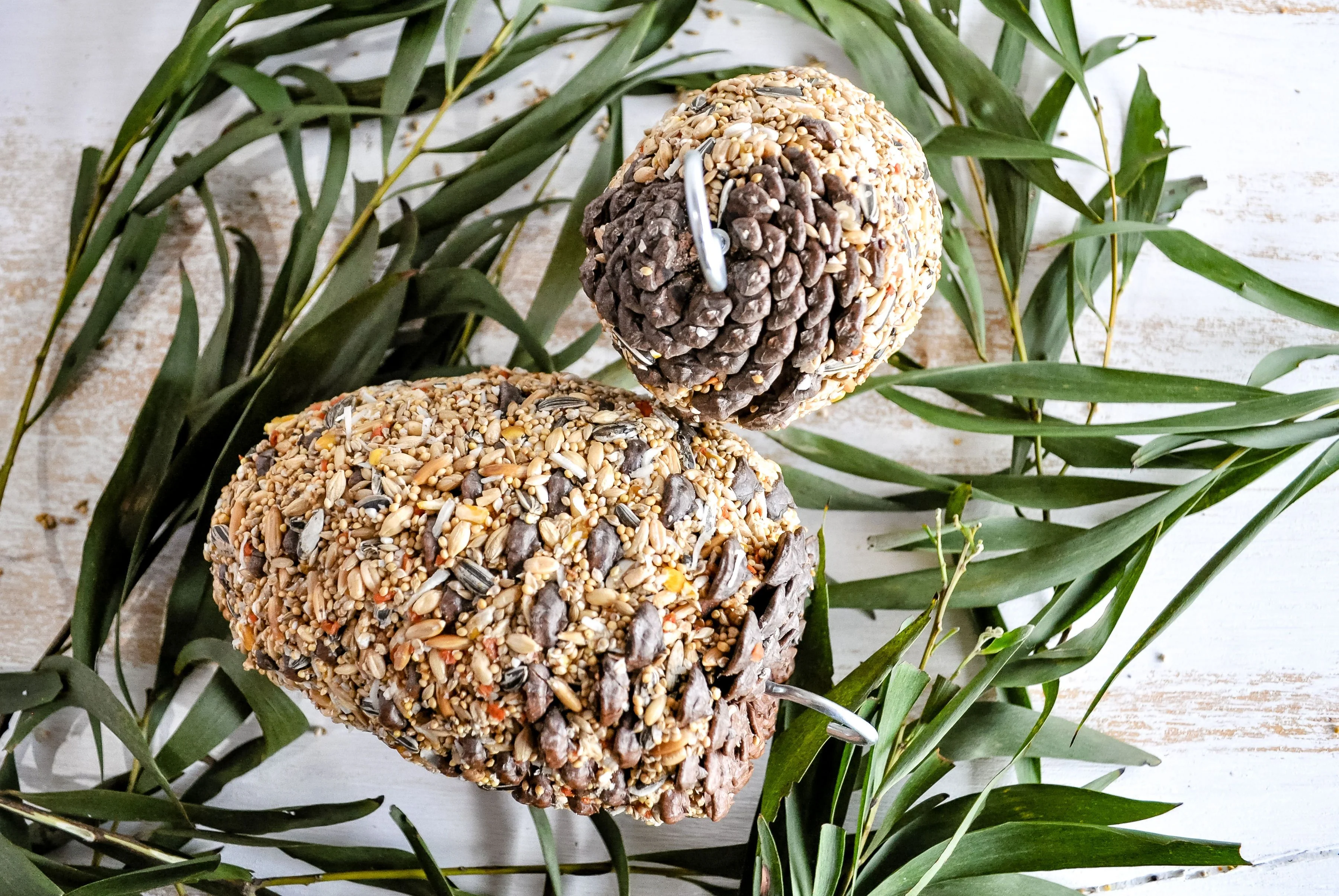 Forage Pinecone Bird Treat - Image 3