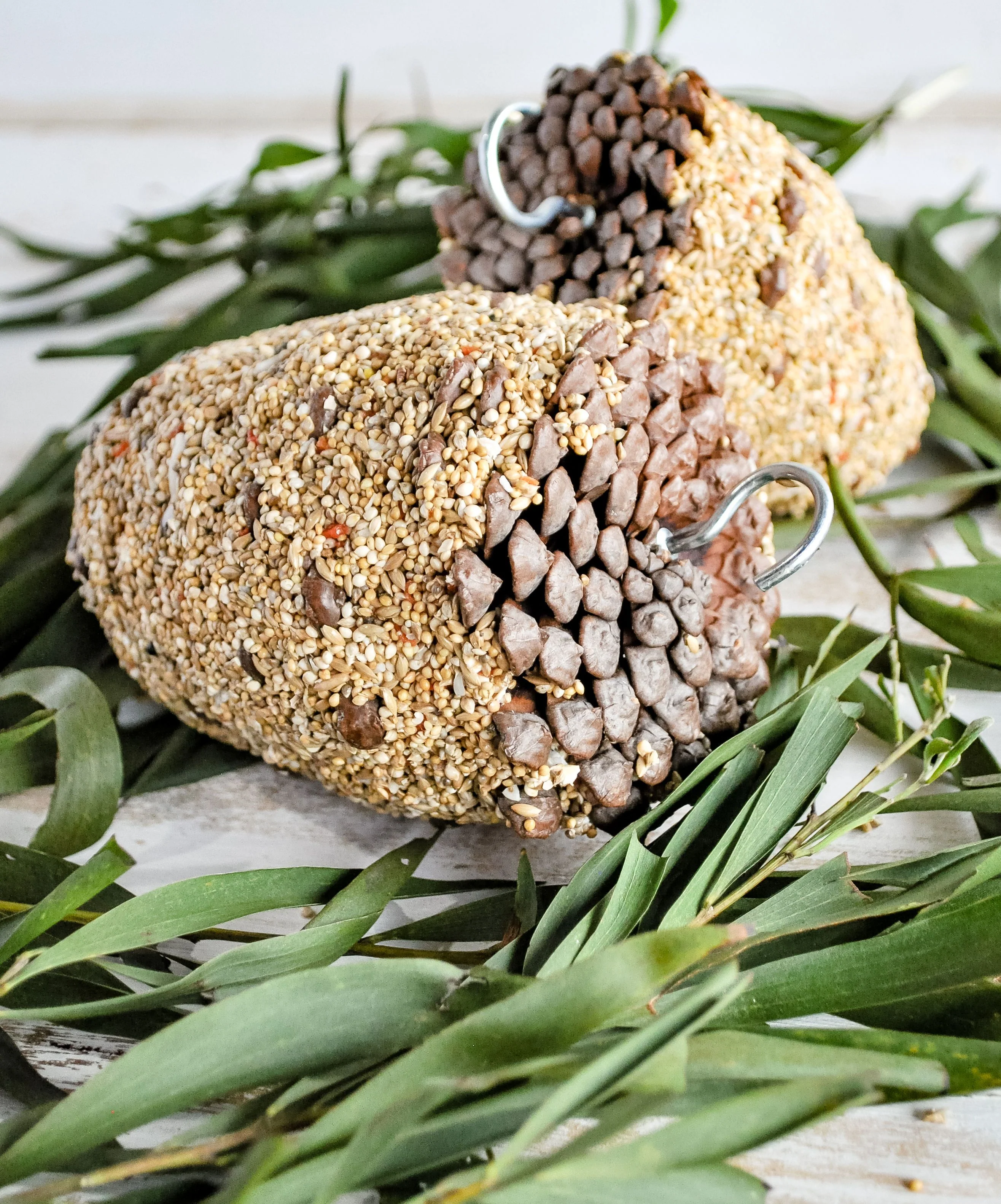 Forage Pinecone Bird Treat - Image 4