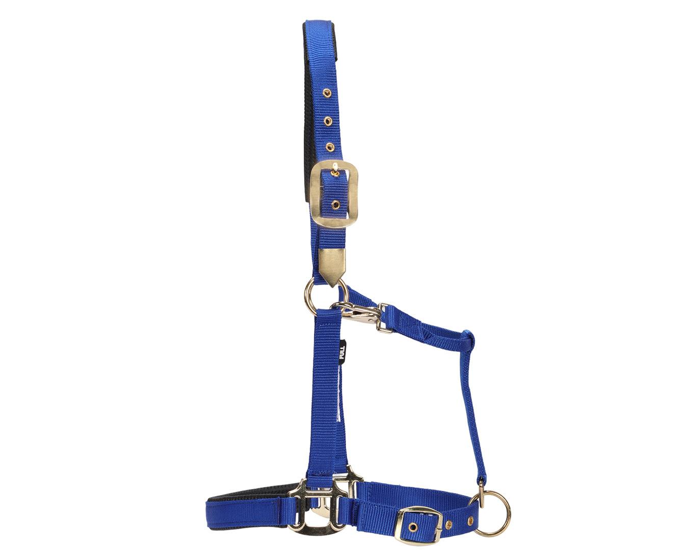 GG Aust Deluxe Nylon Halter - Image 2