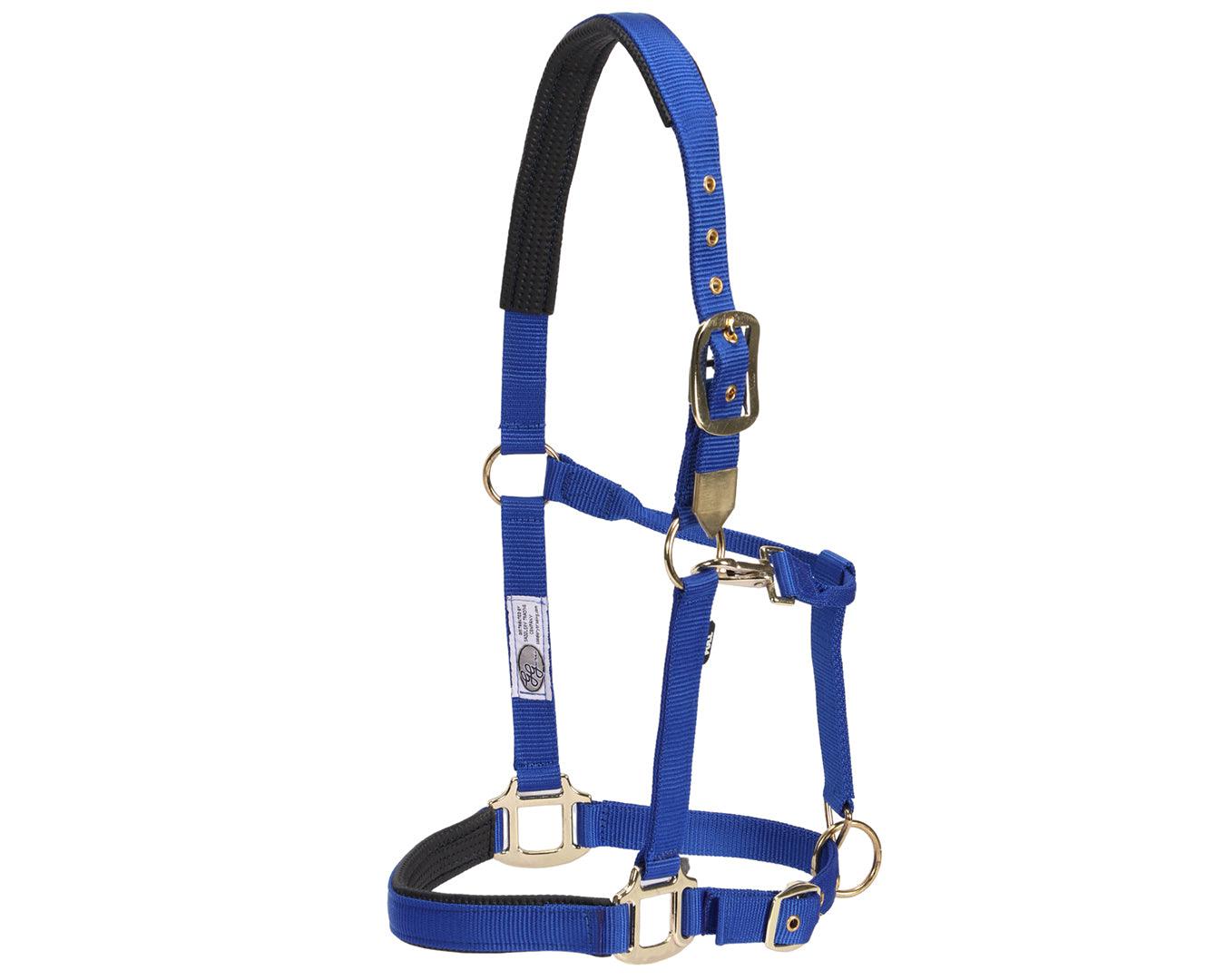 GG Aust Deluxe Nylon Halter - Image 3