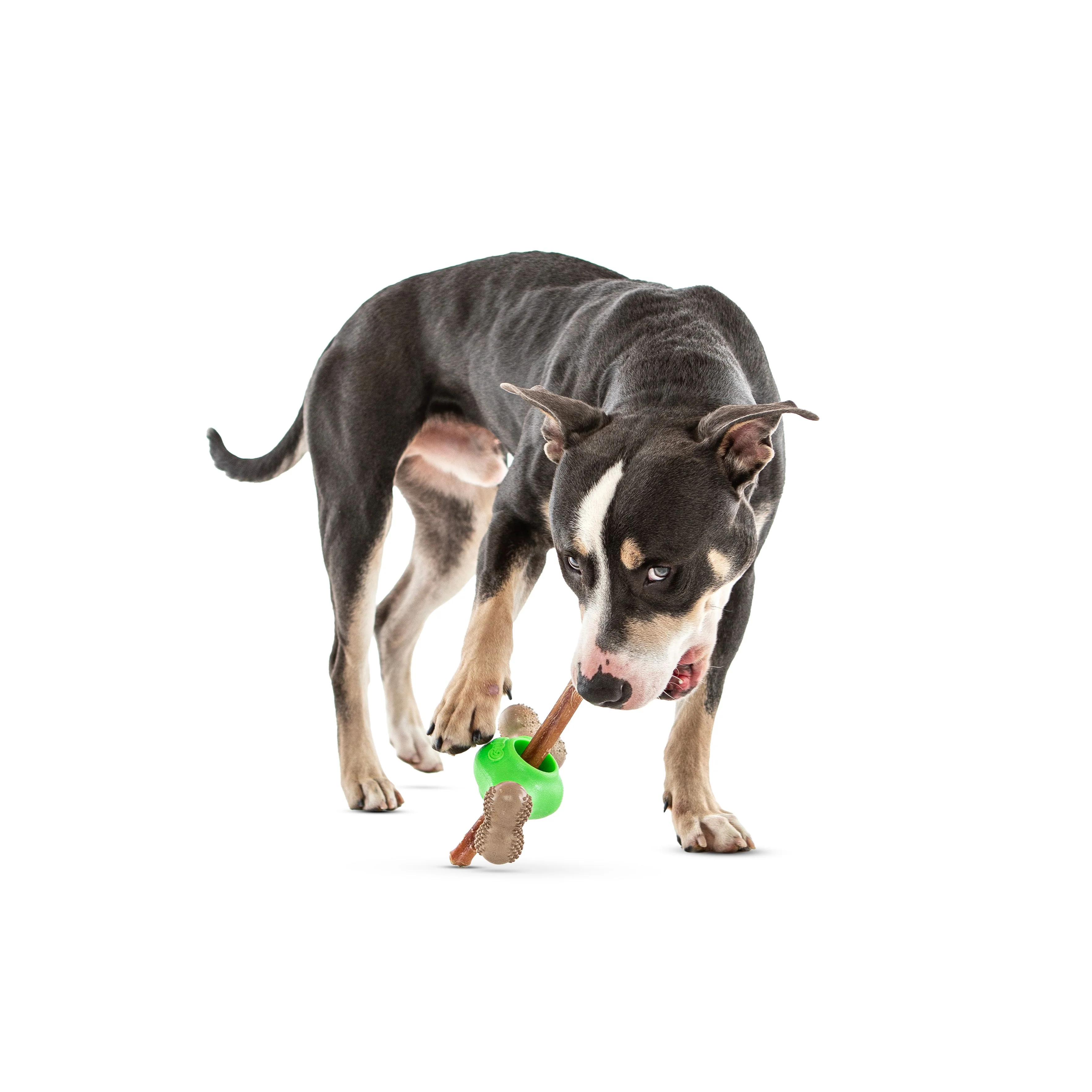 Guru Adjust-A-Chew Medium Dog Toy - Image 2
