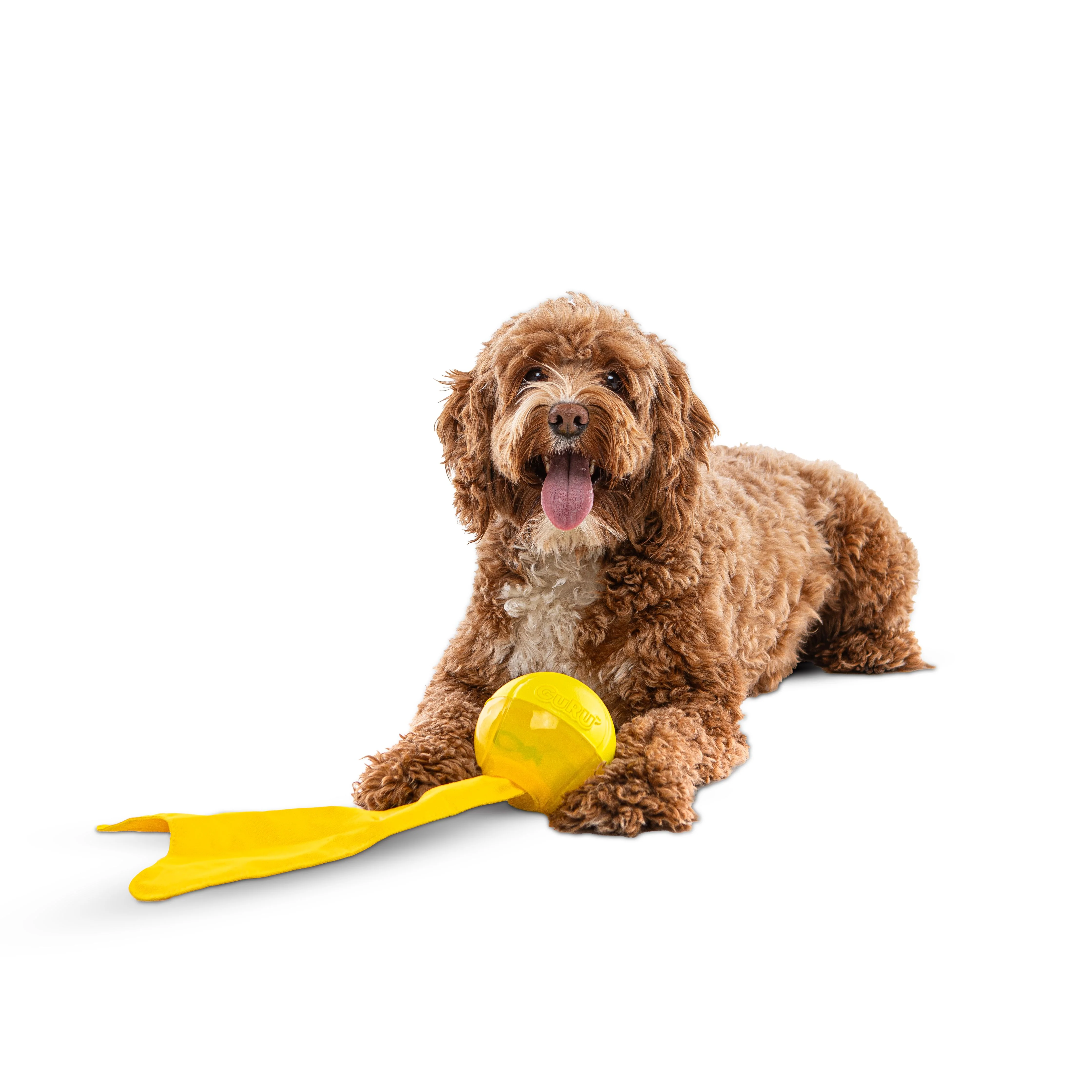 Guru Bonanza Ball Medium Dog Toy - Image 2