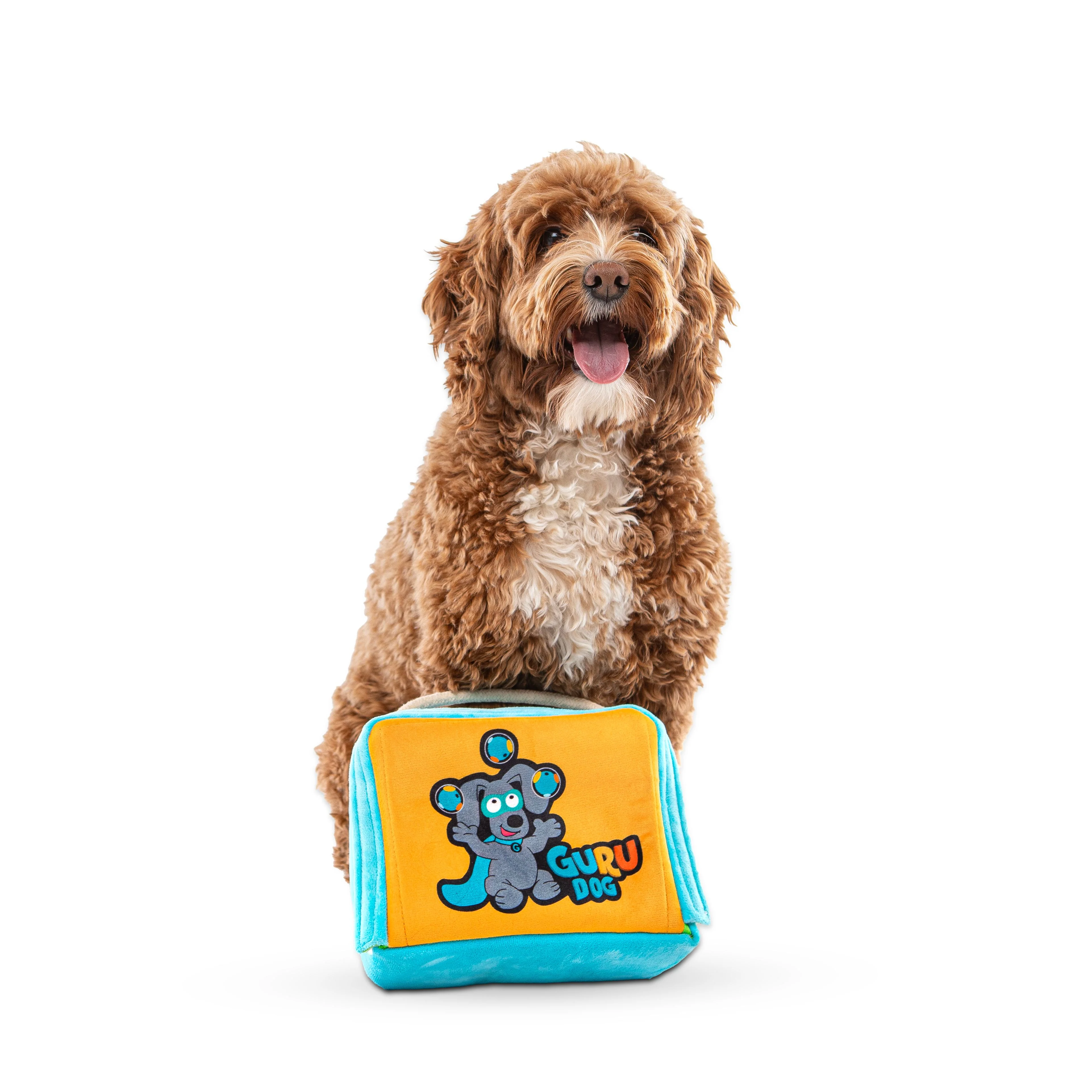 Guru Juggling Guru Fun Box Large Dog Toy - Image 2