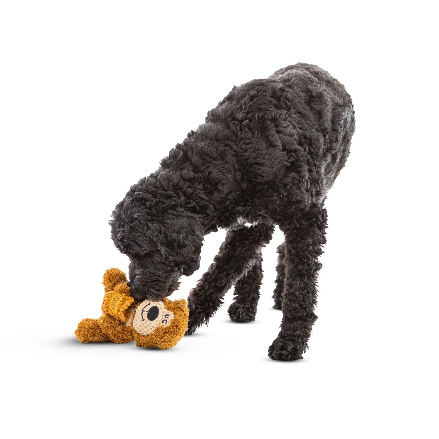 Guru Loveys Bear Medium Dog Toy - Image 2
