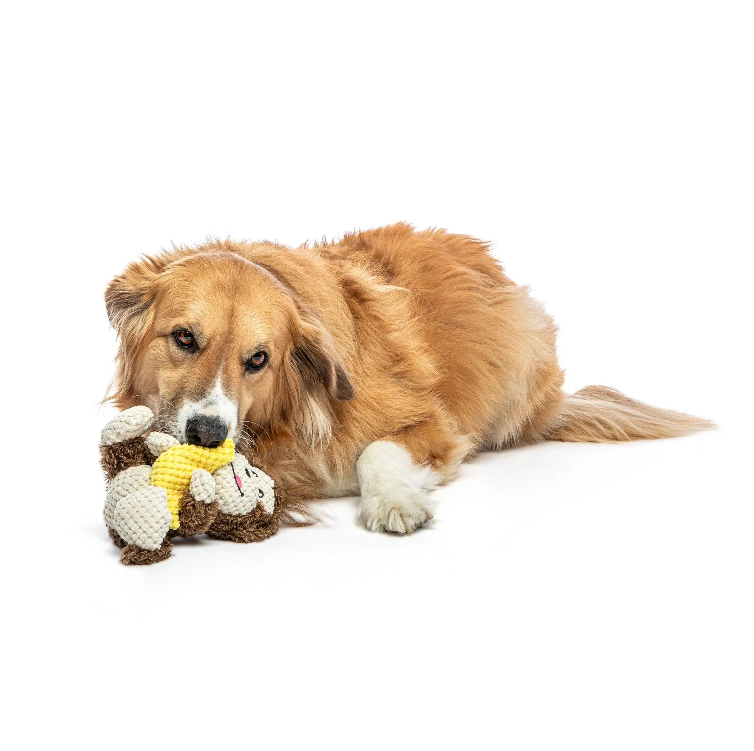 Guru Loveys Monkey Medium Dog Toy - Image 2