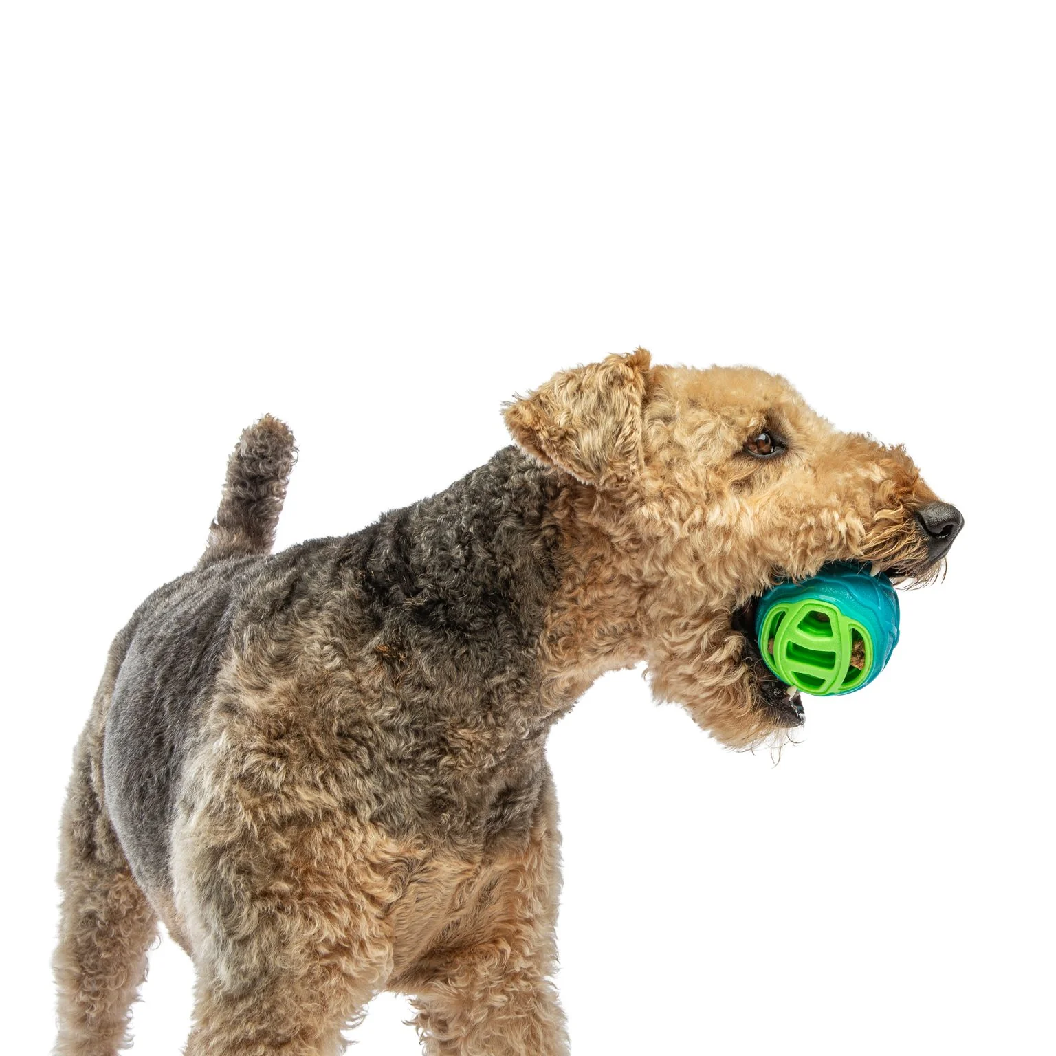 Guru Pocket Ball Medium/Large Dog Toy - Image 2