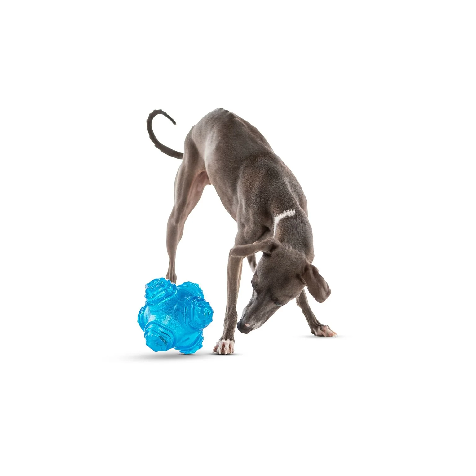 Guru Puzzle Jack Medium Dog Toy - Image 2