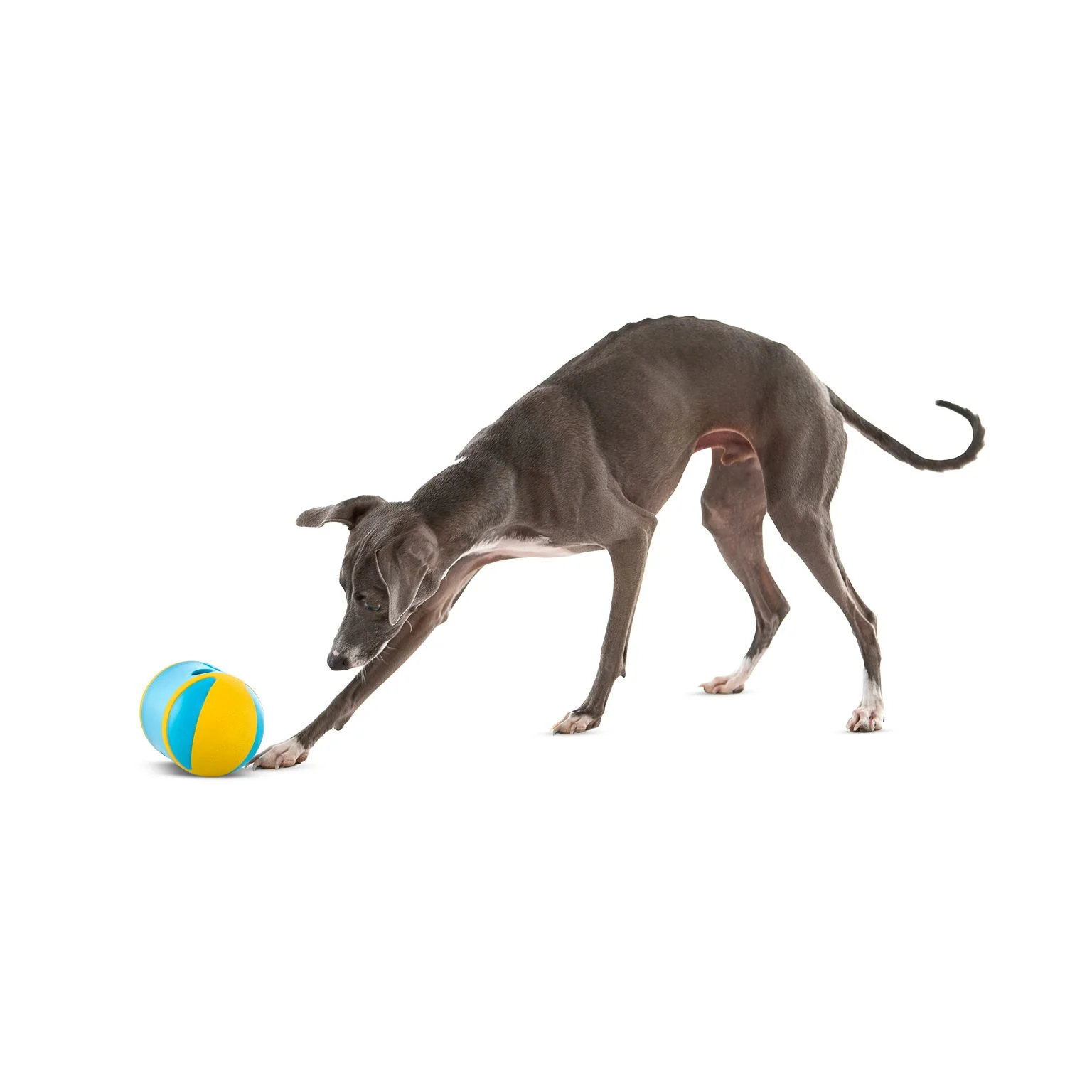 Guru Rock N Treat Medium Dog Toy - Image 2