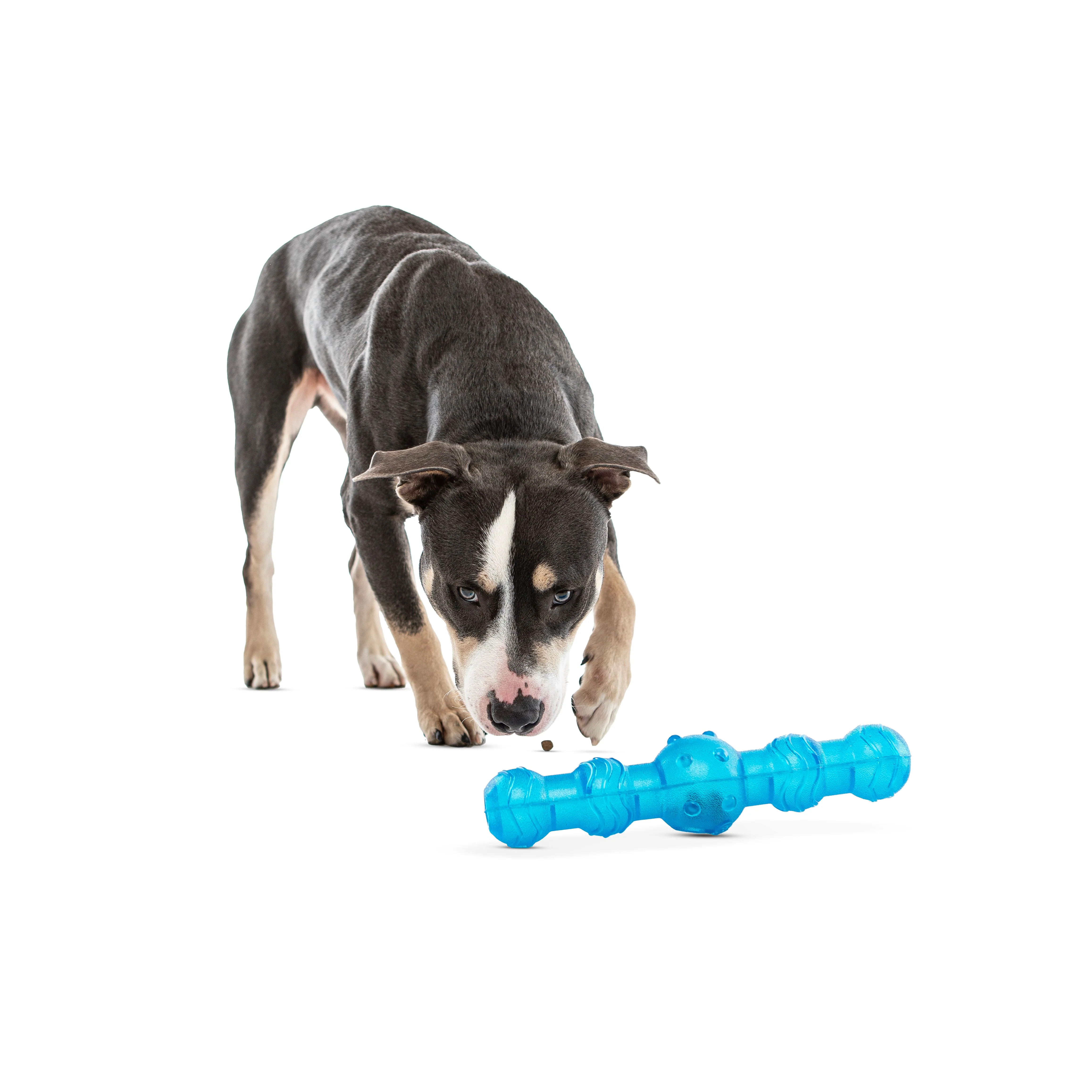 Guru Shaker Stick Medium/Large Dog Toy - Image 2