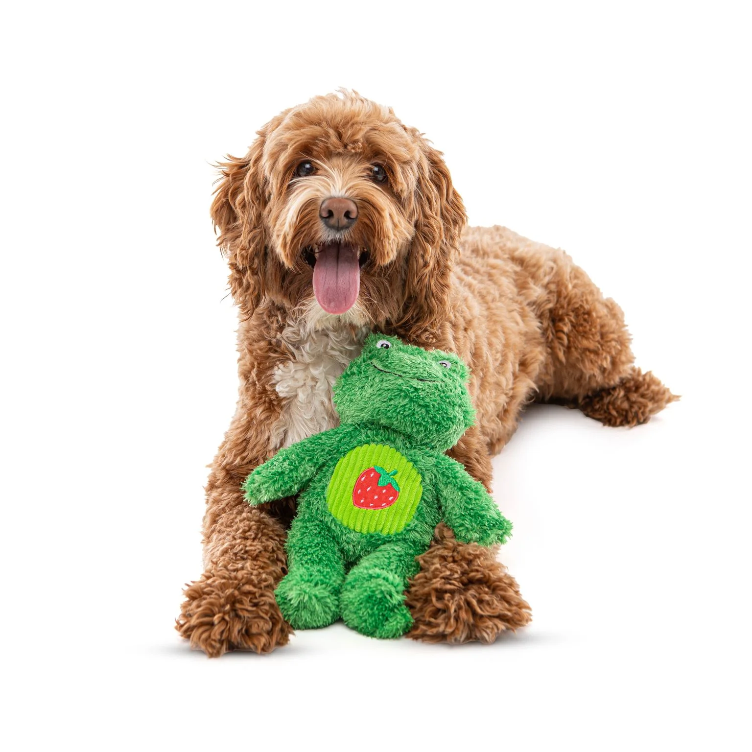 Guru Soft Scents Frog Medium Dog Toy - Image 2