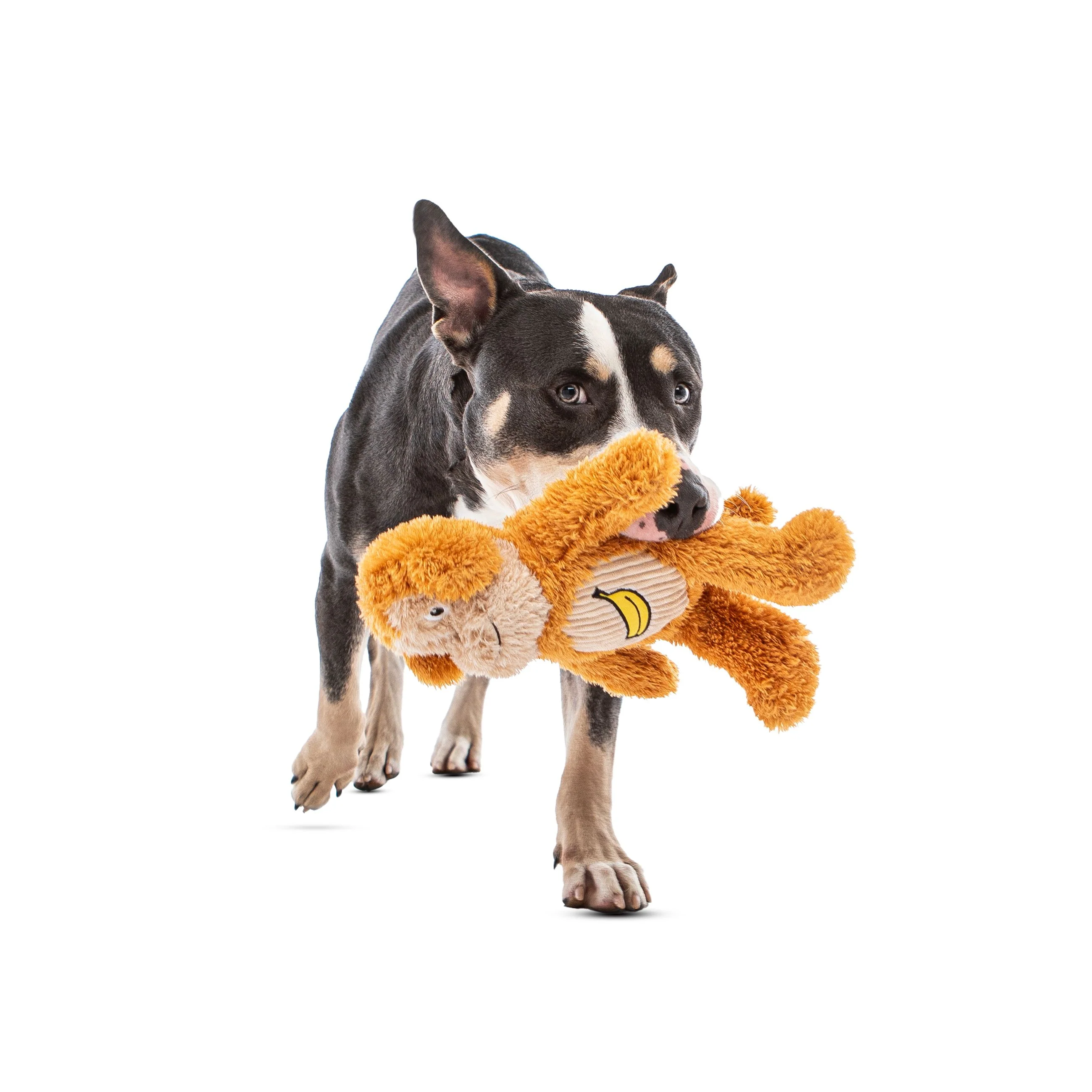 Guru Soft Scents Monkey Medium Dog Toy - Image 2