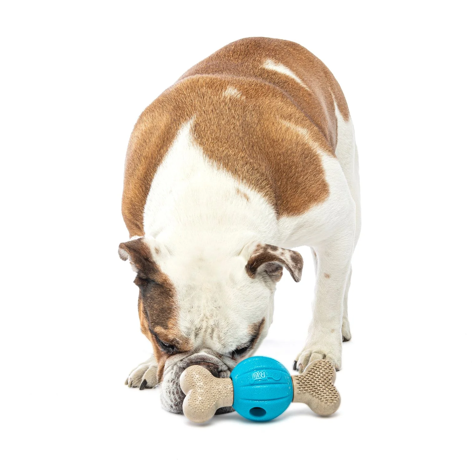 Guru Spin and Chew Bone Bacon Medium Dog Toy - Image 2