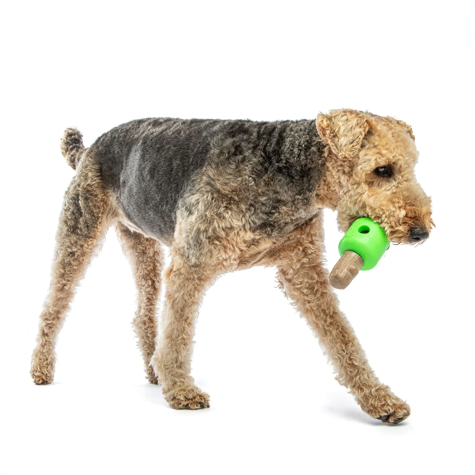 Guru Spin and Treat Stick Bacon Dog Toy - Image 2