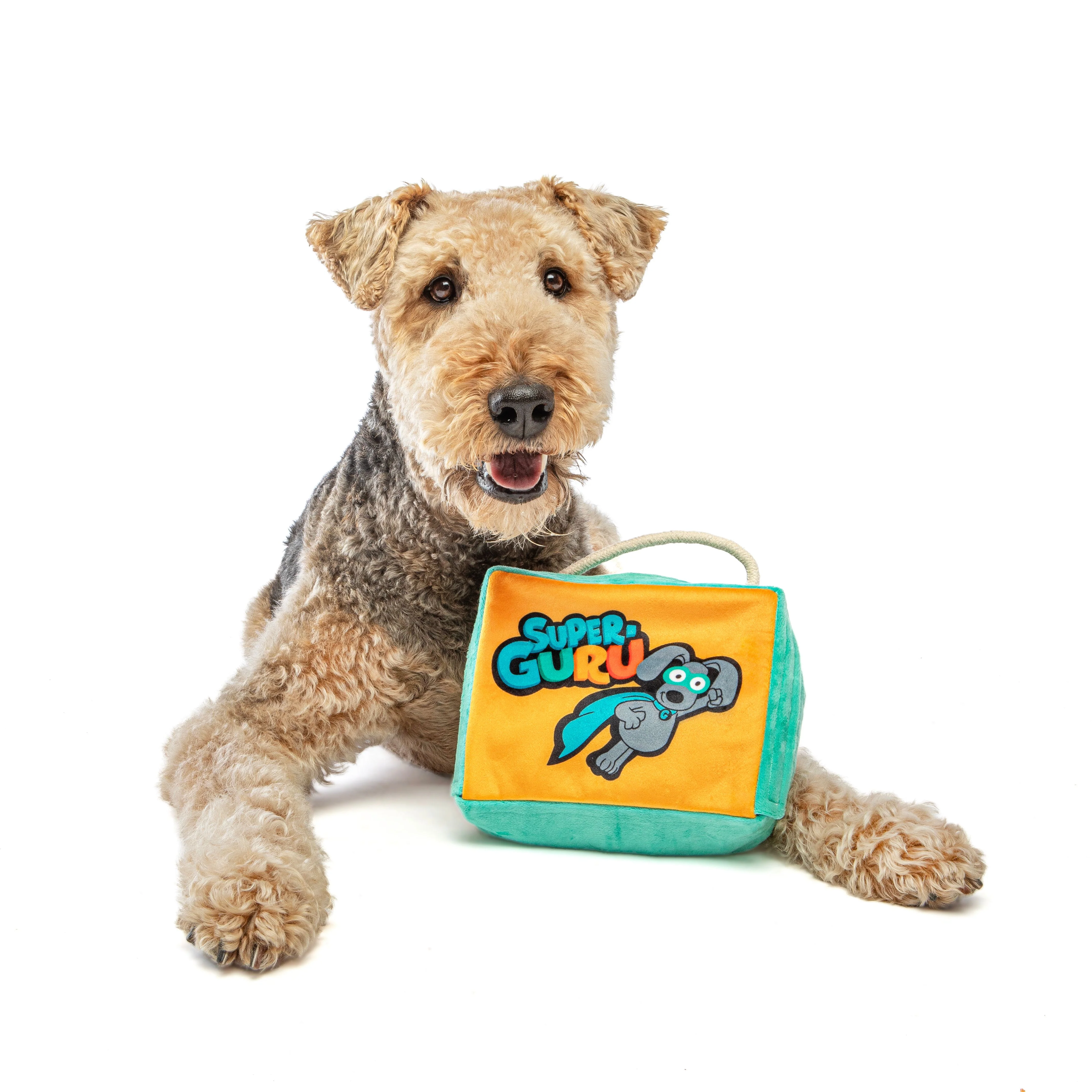 Guru Super Guru Fun Box Large Dog Toy - Image 2